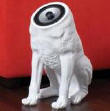 Obrazek Woof, woof, Woofers