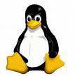 Obrazek Koncerny komputerowe popieraj Linuxa