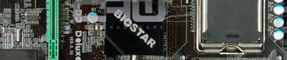 Obrazek Nowe pyty Biostara