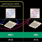 Obrazek AMD uspokaja ... Będą Phenomy 45 nm na AM2+
