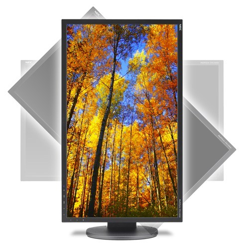 NEC MultiSync EA224WMi z matryc 22-cale 16:9 IPS