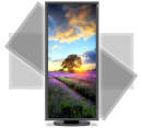 Obrazek NEC MultiSync EA294WMi 