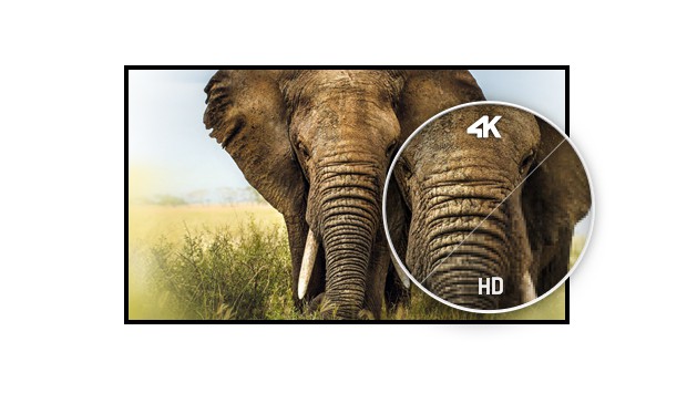 iiyama przedstawia 40-calowy monitor 4K z matryc MVA