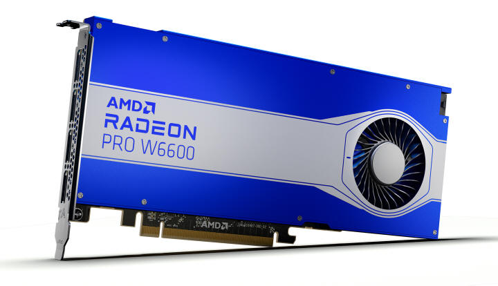 AMD - karty graficzne Radeon RX 6600 XT i Radeon PRO W6600