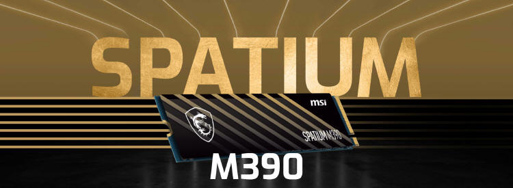 MSI SPATIUM M390 NVMe M.2