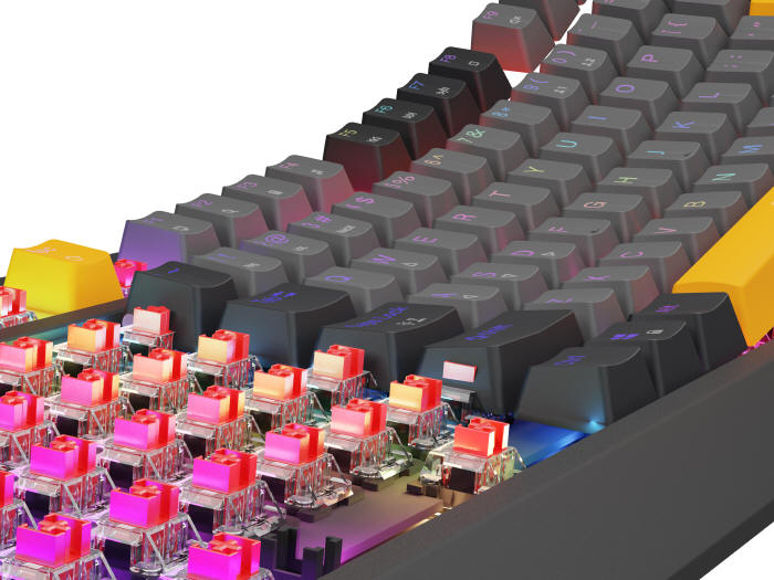 GENESIS - nowa klawiatura mechaniczna Thor 230 TKL