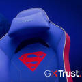 Obrazek GXTrust - Obud w sobie superbohatera z now kolekcj Superman
