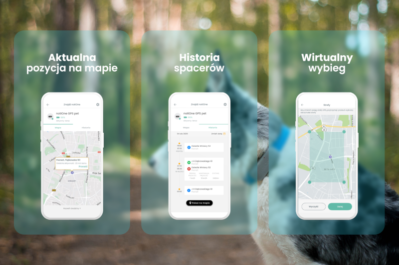 notiOne GPS pet - lokalizator dla psw i kotw bez abonamentu