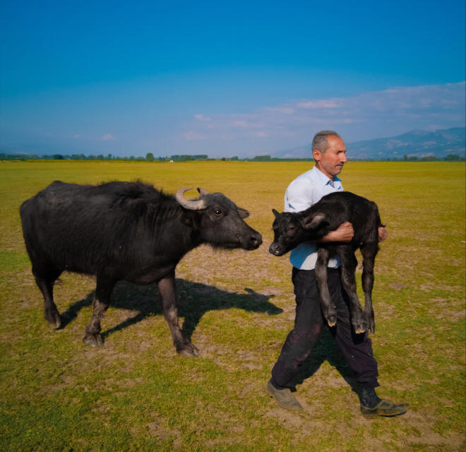 Konkurs fotograficzny HUAWEI XMAGE Awards 2025 rozstrzygnięty