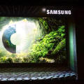 Obrazek Samsung prezentuje14-metrowy wy�wietlacz LED Onyx