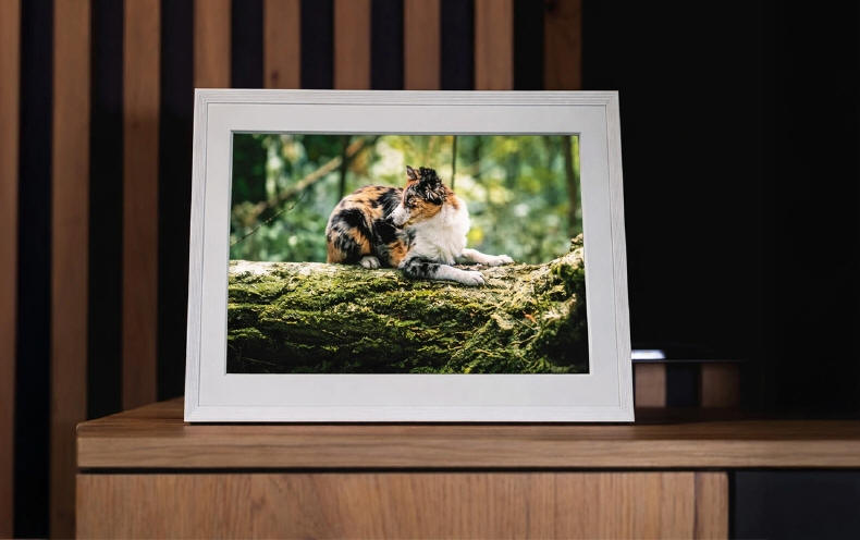 Navitel FR101 PRO - inteligentna ramka