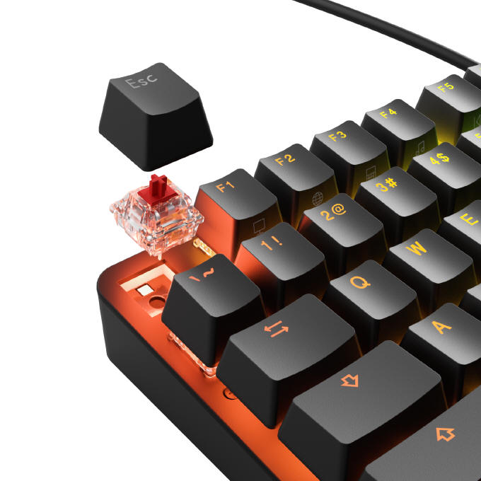 Premiera Glorious GMMK Eternal